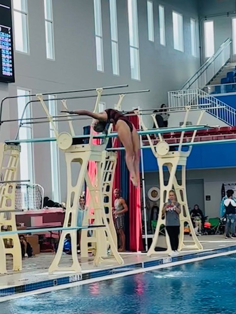 A person diving into a poolDescription automatically generated